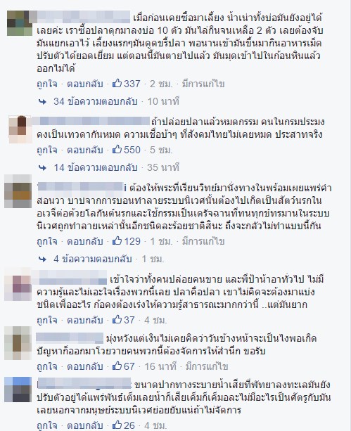 หยุดปล่อยปลาซัคเกอร์ลงแม่น้ำ หยุดปล่อยปลาซัคเกอร์ลงแม่น้ำ