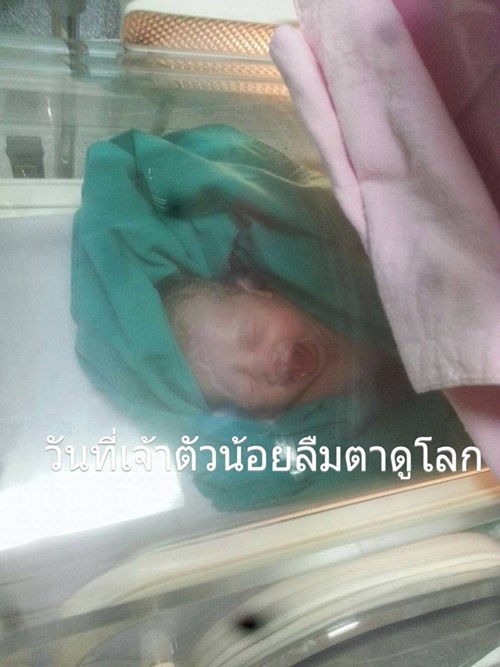 คุณแม่ยังสาวต้องกลายเป็นหัวหน้าครอบครัว คุณแม่ยังสาวต้องกลายเป็นหัวหน้าครอบครัว