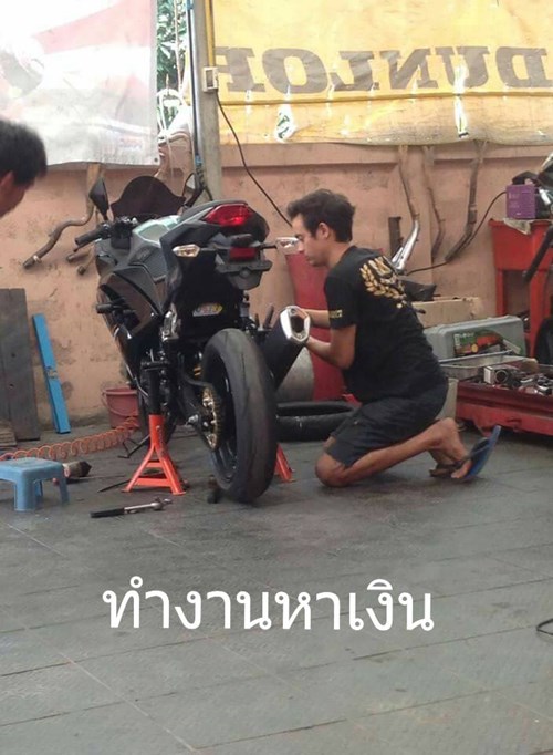 คุณแม่ยังสาวต้องกลายเป็นหัวหน้าครอบครัว คุณแม่ยังสาวต้องกลายเป็นหัวหน้าครอบครัว