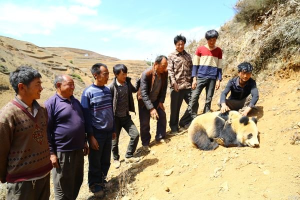 ชาวบ้านจีนช่วยยืนเฝ้าแพนด้าหลงทาง ชาวบ้านจีนช่วยยืนเฝ้าแพนด้าหลงทาง