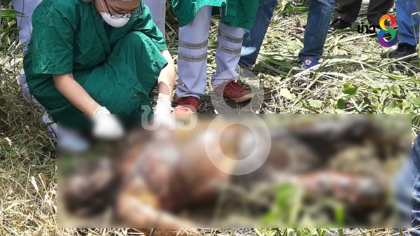 หญิงชราวัย 74 โดนฆ่าเปลือยหมกป่าอ้อย หญิงชราวัย 74 โดนฆ่าเปลือยหมกป่าอ้อย