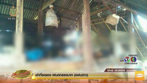 คู่หมั้นวัยผูกคอตายคู่ คู่หมั้นวัยผูกคอตายคู่