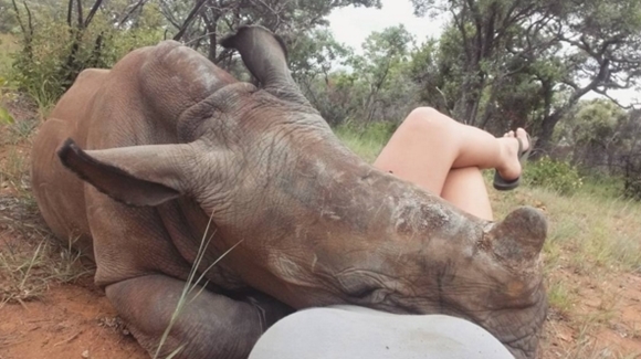 แรดน้อยกำพร้าแม่ อ้อนหนุนพยาบาลสาวขอไออุ่น แรดน้อยกำพร้าแม่ อ้อนหนุนพยาบาลสาวขอไออุ่น