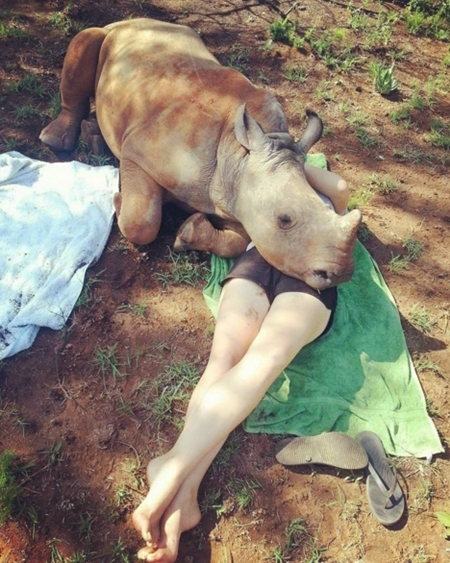 แรดน้อยกำพร้าแม่ อ้อนหนุนพยาบาลสาวขอไออุ่น แรดน้อยกำพร้าแม่ อ้อนหนุนพยาบาลสาวขอไออุ่น