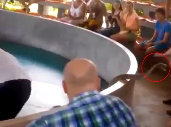 เจ้าหน้าที่ลุยตรวจสถานที่จัดแสดงโชว์งู เจ้าหน้าที่ลุยตรวจสถานที่จัดแสดงโชว์งู