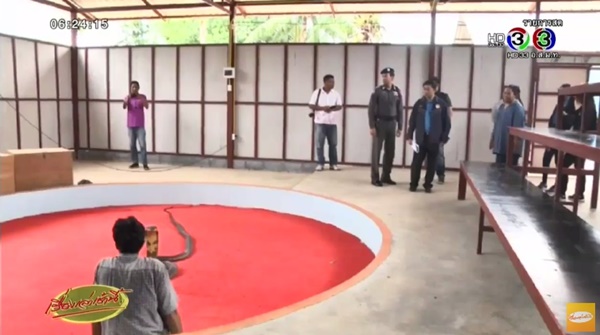 เจ้าหน้าที่ลุยตรวจสถานที่จัดแสดงโชว์งู เจ้าหน้าที่ลุยตรวจสถานที่จัดแสดงโชว์งู