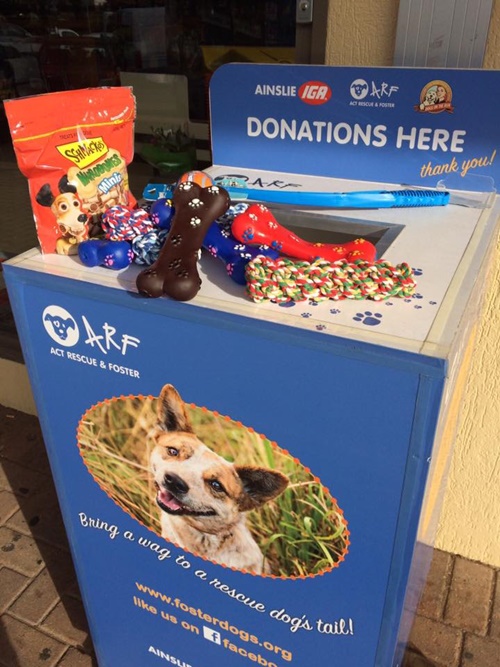 ชายไร้บ้านบริจาคเงินช่วยสุนัขจรจัด ชายไร้บ้านบริจาคเงินช่วยสุนัขจรจัด