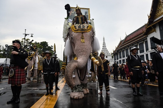 ช้างงางาม 11 เชือก ถวายบังคมพระบรมศพ ในหลวง ช้างงางาม 11 เชือก ถวายบังคมพระบรมศพ ในหลวง