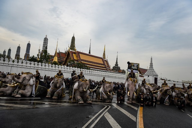 ช้างงางาม 11 เชือก ถวายบังคมพระบรมศพ ในหลวง ช้างงางาม 11 เชือก ถวายบังคมพระบรมศพ ในหลวง