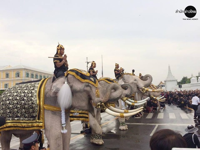ช้างงางาม 11 เชือก ถวายบังคมพระบรมศพ ในหลวง ช้างงางาม 11 เชือก ถวายบังคมพระบรมศพ ในหลวง