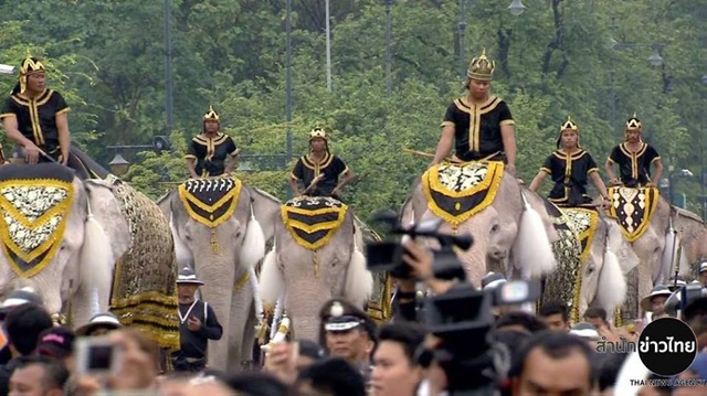 ช้างงางาม 11 เชือก ถวายบังคมพระบรมศพ ในหลวง ช้างงางาม 11 เชือก ถวายบังคมพระบรมศพ ในหลวง