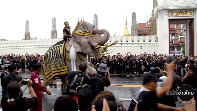 ช้างงางาม 11 เชือก ถวายบังคมพระบรมศพ ในหลวง ช้างงางาม 11 เชือก ถวายบังคมพระบรมศพ ในหลวง
