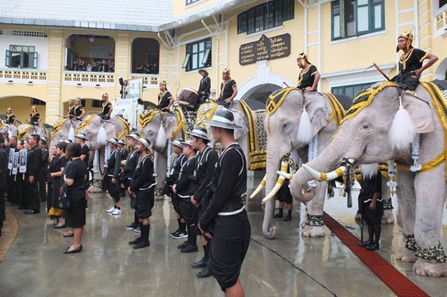 ช้างงางาม 11 เชือก ถวายบังคมพระบรมศพ ในหลวง ช้างงางาม 11 เชือก ถวายบังคมพระบรมศพ ในหลวง