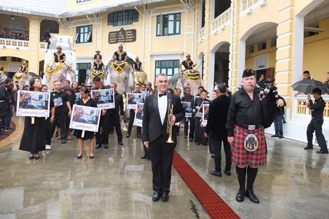 ช้างงางาม 11 เชือก ถวายบังคมพระบรมศพ ในหลวง ช้างงางาม 11 เชือก ถวายบังคมพระบรมศพ ในหลวง