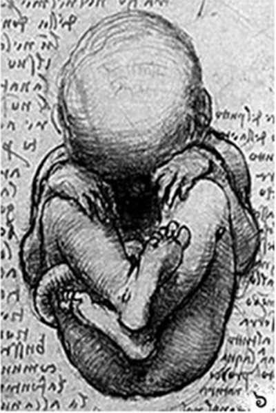 เรื่องราวที่หลายคนอยากรู้เกี่ยวกับ พระโกศ เรื่องราวที่หลายคนอยากรู้เกี่ยวกับ พระโกศ