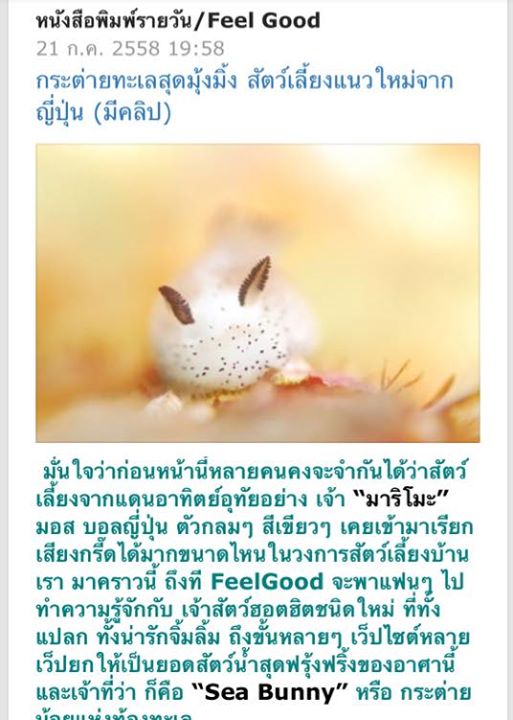 เตือนอย่านำ เตือนอย่านำ