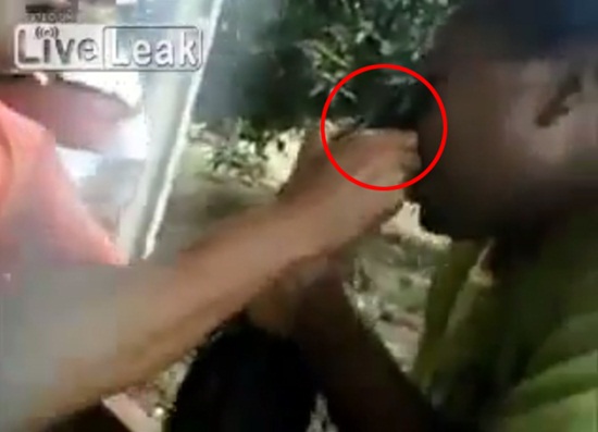 หนุ่มพิเรนทร์เล่นจูบจระเข้ถ่ายเซลฟี่ หนุ่มพิเรนทร์เล่นจูบจระเข้ถ่ายเซลฟี่