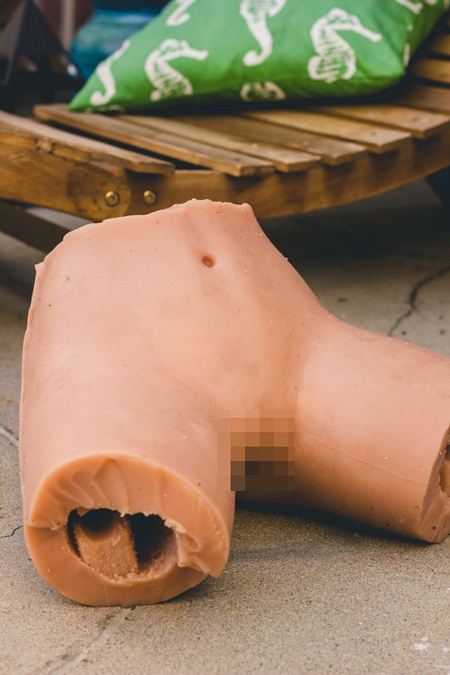 จับตุ๊กตายางมาชำแหละ จับตุ๊กตายางมาชำแหละ