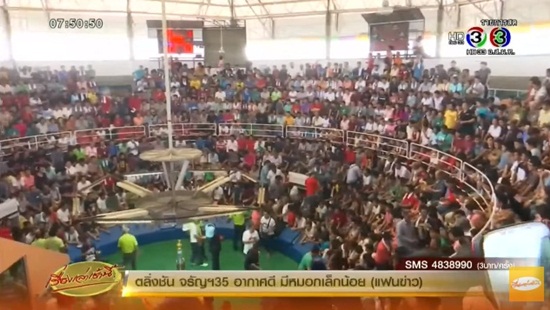 แห่ชมไก่ชนคู่เอก เงินเดิมพันสูงถึง 22 ล้าน แห่ชมไก่ชนคู่เอก เงินเดิมพันสูงถึง 22 ล้าน