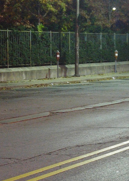 ภาพถ่าย ภาพถ่าย