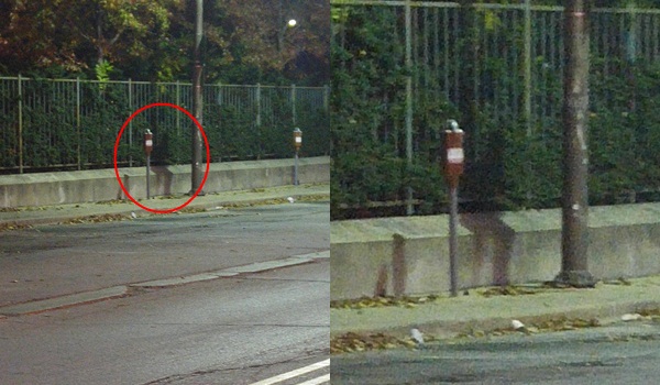 ภาพถ่าย ภาพถ่าย