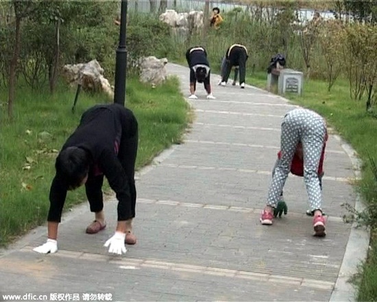 เดินสี่เท้าออกกำลังกาย เดินสี่เท้าออกกำลังกาย