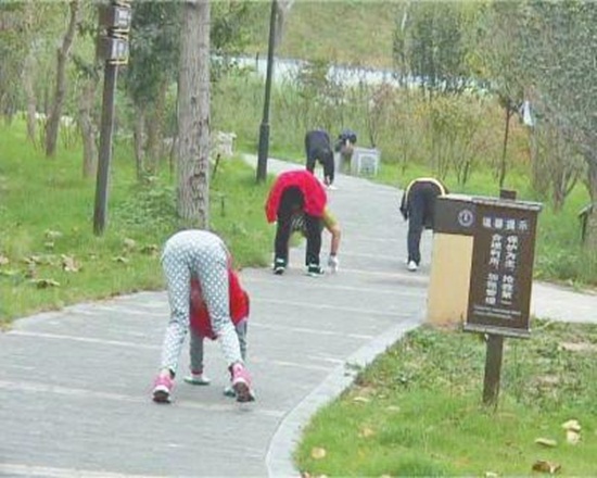 เดินสี่เท้าออกกำลังกาย เดินสี่เท้าออกกำลังกาย