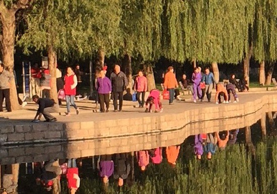 เดินสี่เท้าออกกำลังกาย เดินสี่เท้าออกกำลังกาย