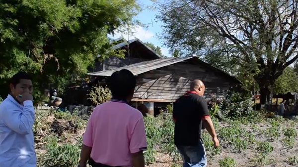 กองทัพหนอนนับแสนตัว บุกทำรังในบ้าน กองทัพหนอนนับแสนตัว บุกทำรังในบ้าน