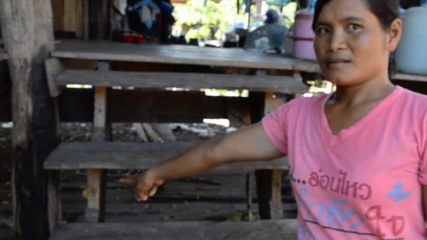 กองทัพหนอนนับแสนตัว บุกทำรังในบ้าน กองทัพหนอนนับแสนตัว บุกทำรังในบ้าน