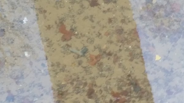 โครงการทำความสะอาดคลองแซงต์มาร์แตง โครงการทำความสะอาดคลองแซงต์มาร์แตง