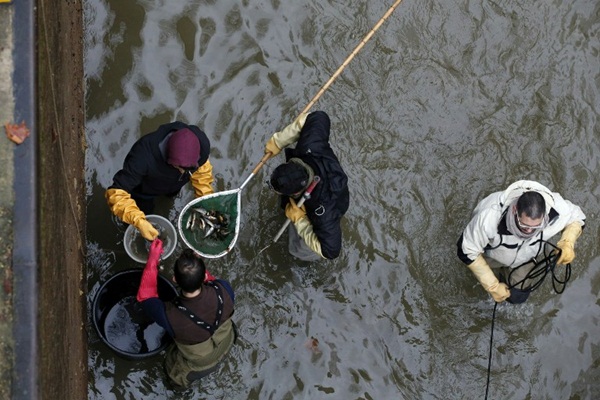 โครงการทำความสะอาดคลองแซงต์มาร์แตง โครงการทำความสะอาดคลองแซงต์มาร์แตง