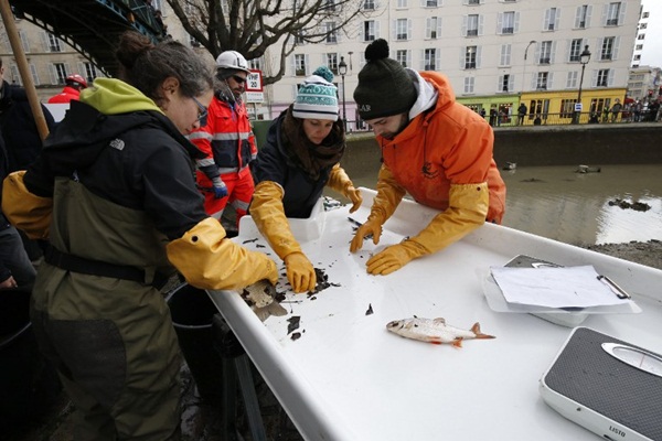 โครงการทำความสะอาดคลองแซงต์มาร์แตง โครงการทำความสะอาดคลองแซงต์มาร์แตง