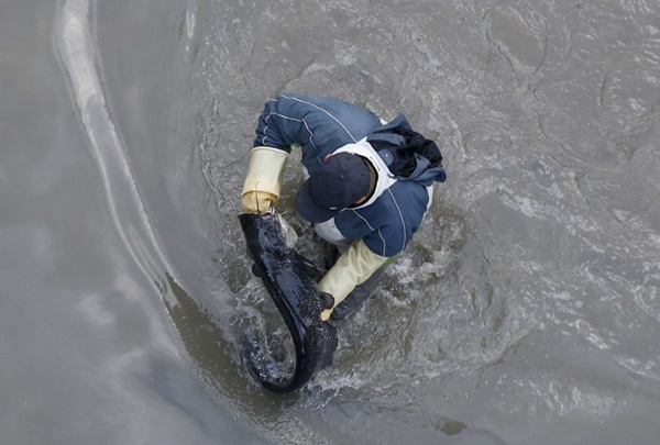 โครงการทำความสะอาดคลองแซงต์มาร์แตง โครงการทำความสะอาดคลองแซงต์มาร์แตง