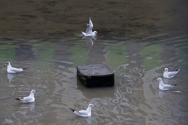 โครงการทำความสะอาดคลองแซงต์มาร์แตง โครงการทำความสะอาดคลองแซงต์มาร์แตง