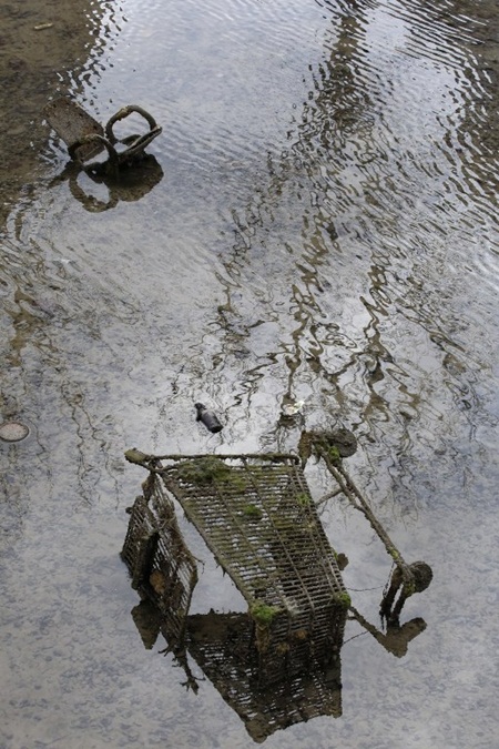 โครงการทำความสะอาดคลองแซงต์มาร์แตง โครงการทำความสะอาดคลองแซงต์มาร์แตง