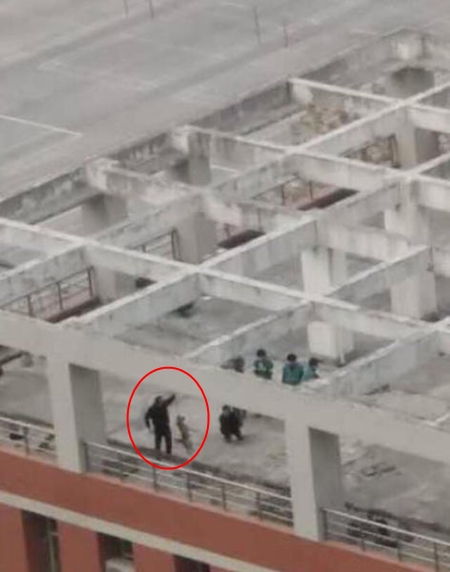 มหาลัยการแพทย์จีนใช้หมาไว้ทดลองผ่าตัด มหาลัยการแพทย์จีนใช้หมาไว้ทดลองผ่าตัด