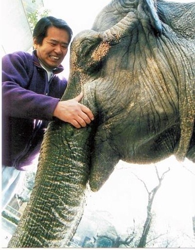 โกกิ หนุ่มญี่ปุ่นคนดัง ตีแผ่ชีวิตจริงของช้างฮานาโกะ โกกิ หนุ่มญี่ปุ่นคนดัง ตีแผ่ชีวิตจริงของช้างฮานาโกะ