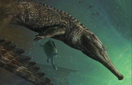 จระเข้ดึกดำบรรพ์ มาคิโมซอรัส เร็กซ์ จระเข้ดึกดำบรรพ์ มาคิโมซอรัส เร็กซ์