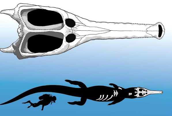 จระเข้ดึกดำบรรพ์ มาคิโมซอรัส เร็กซ์ จระเข้ดึกดำบรรพ์ มาคิโมซอรัส เร็กซ์