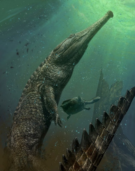 จระเข้ดึกดำบรรพ์ มาคิโมซอรัส เร็กซ์ จระเข้ดึกดำบรรพ์ มาคิโมซอรัส เร็กซ์