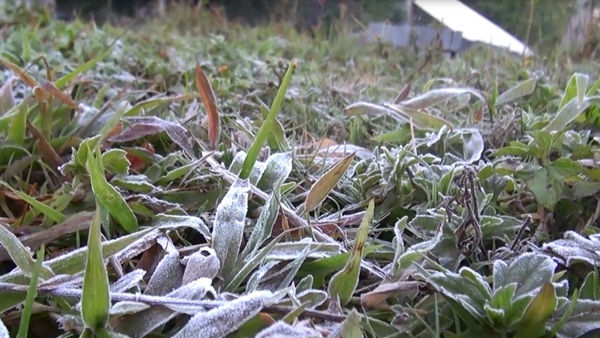 เกิดแม่คะนิ้งขาวโพลน เกิดแม่คะนิ้งขาวโพลน