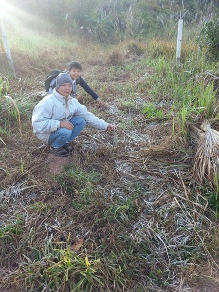 เกิดแม่คะนิ้งขาวโพลน เกิดแม่คะนิ้งขาวโพลน