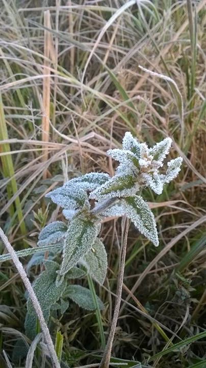 เกิดแม่คะนิ้งขาวโพลน เกิดแม่คะนิ้งขาวโพลน