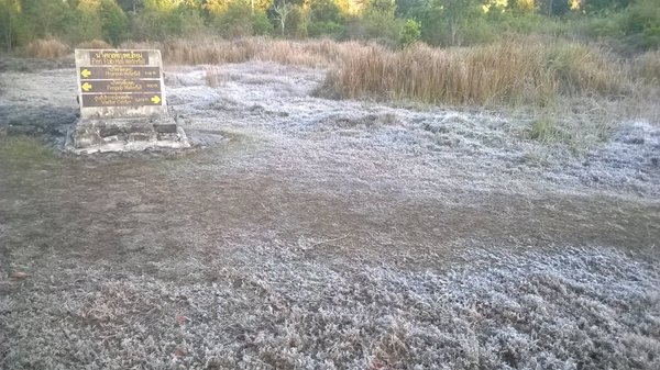 เกิดแม่คะนิ้งขาวโพลน เกิดแม่คะนิ้งขาวโพลน