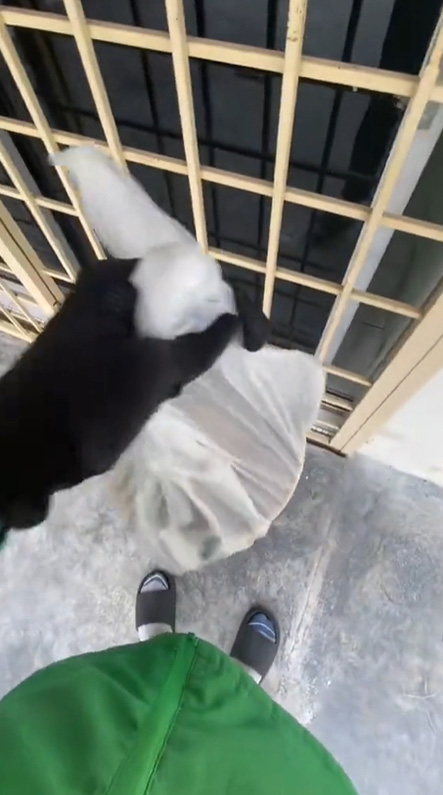 ไรเดอร์ ไรเดอร์