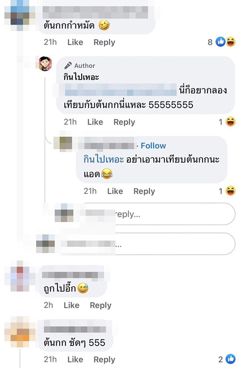 เค้กต้นกก เค้กต้นกก