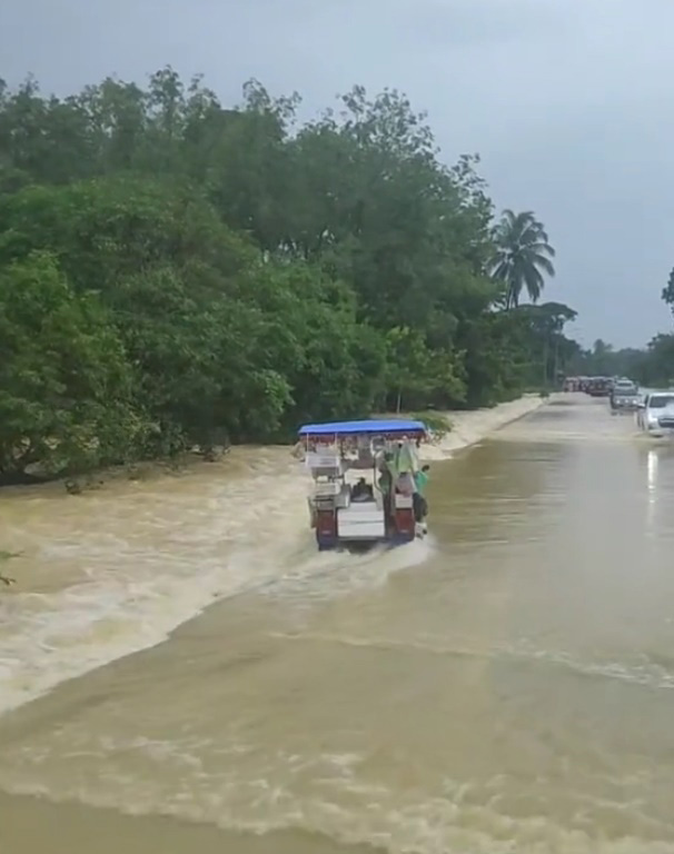 น้ำท่วมภาคใต้ น้ำท่วมภาคใต้