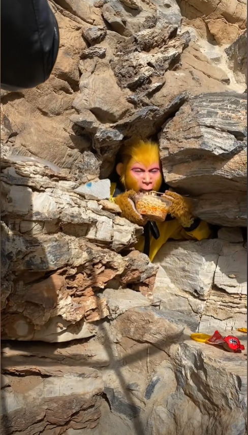 ซุนหงอคง ซุนหงอคง