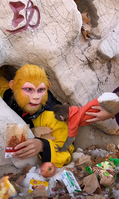 ซุนหงอคง ซุนหงอคง